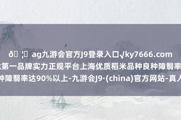 🦄ag九游会官方J9登录入口√ky7666.com√ag九游会官网真人游戏第一品牌实力正规平台上海优质稻米品种良种障翳率达90%以上-九游会J9·(china)官方网站-真人游戏第一品牌