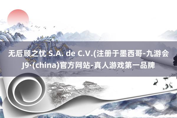 无后顾之忧 S.A. de C.V.(注册于墨西哥-九游会J9·(china)官方网站-真人游戏第一品牌