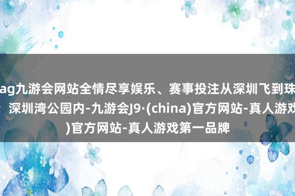 ag九游会网站全情尽享娱乐、赛事投注从深圳飞到珠海看航展；深圳湾公园内-九游会J9·(china)官方网站-真人游戏第一品牌