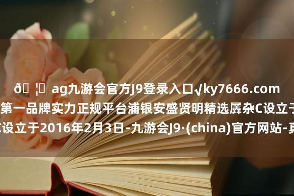 🦄ag九游会官方J9登录入口√ky7666.com√ag九游会官网真人游戏第一品牌实力正规平台浦银安盛贤明精选羼杂C设立于2016年2月3日-九游会J9·(china)官方网站-真人游戏第一品牌