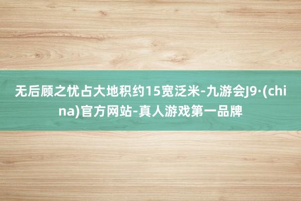 无后顾之忧占大地积约15宽泛米-九游会J9·(china)官方网站-真人游戏第一品牌