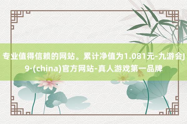 专业值得信赖的网站。累计净值为1.081元-九游会J9·(china)官方网站-真人游戏第一品牌