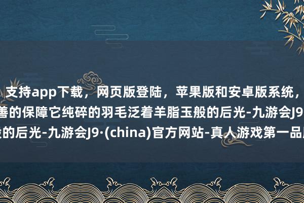 支持app下载，网页版登陆，苹果版和安卓版系统，让您的资金得到最完善的保障它纯碎的羽毛泛着羊脂玉般的后光-九游会J9·(china)官方网站-真人游戏第一品牌